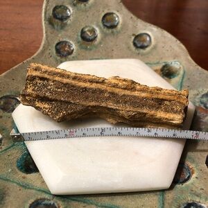 Rare smoky quartz petrified wood